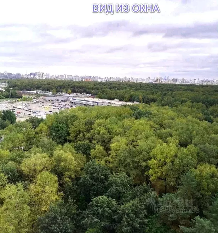 Студия Московская область, Химки ул. Бабакина, 15 (45.0 м) - Фото 1