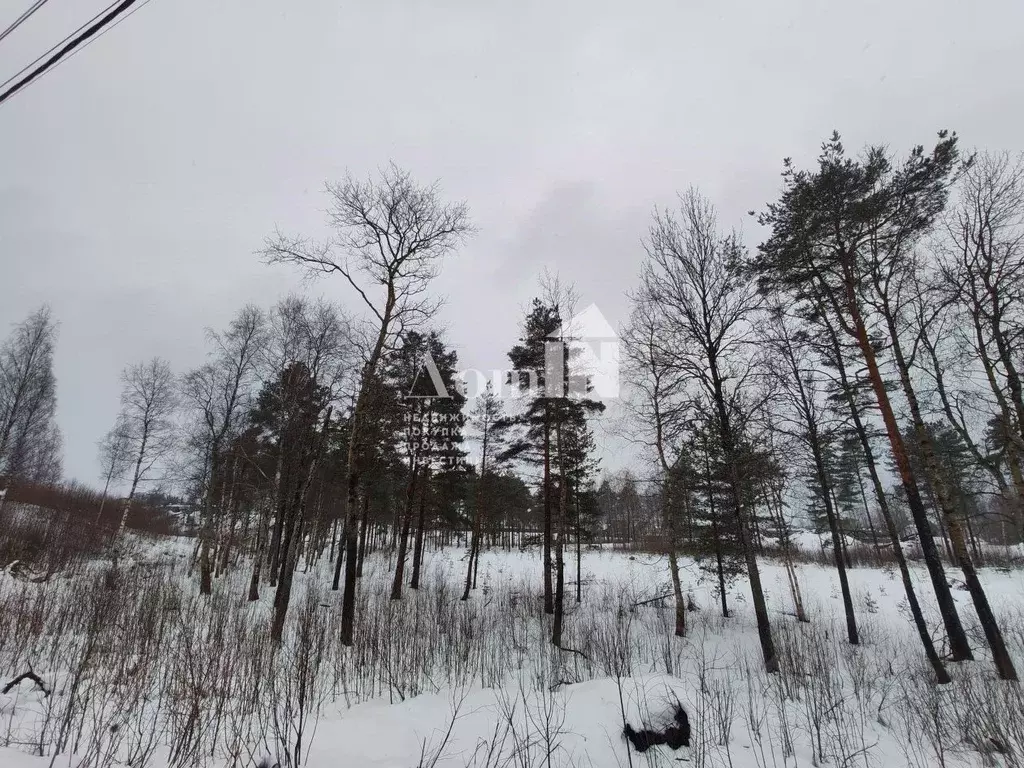Участок в Ленинградская область, Всеволожский район, Лесколовское ... - Фото 2