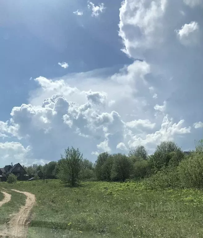 Участок в Пермский край, с. Ляды ул. Заводская (20.0 сот.) - Фото 1