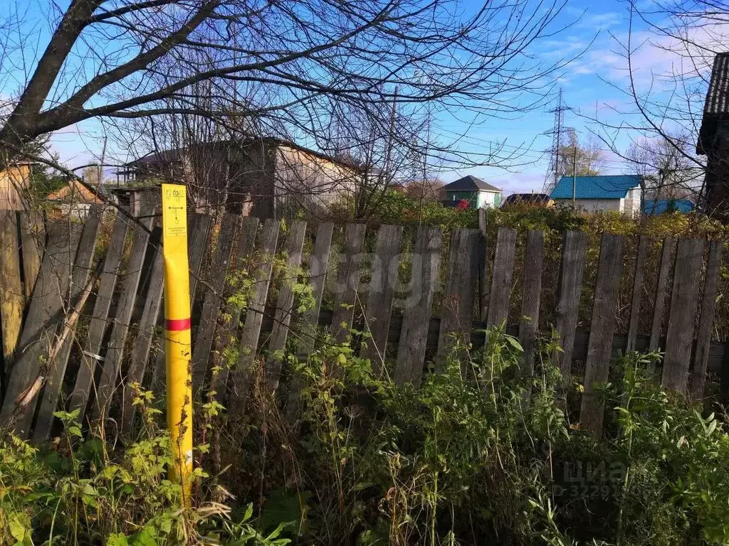 Участок в Архангельская область, Приморский муниципальный округ, д. ... - Фото 1