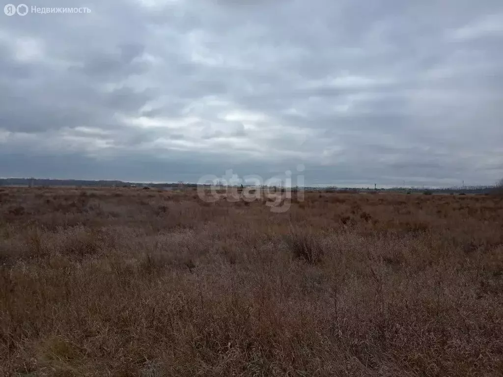 Участок в Омский район, село Усть-Заостровка (21.88 м) - Фото 1