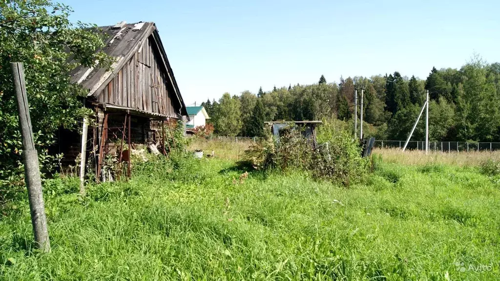 Участок в Московская область, Сергиево-Посадский городской округ, д. ... - Фото 1