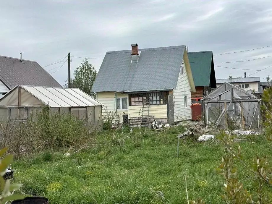 Дом в Пермский край, Березники № 12 СНТ,  (56 м) - Фото 2