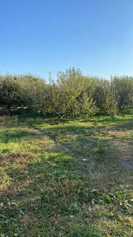 Дом в Кабардино-Балкария, Баксан городской округ, с. Дыгулыбгей  (130 ... - Фото 1