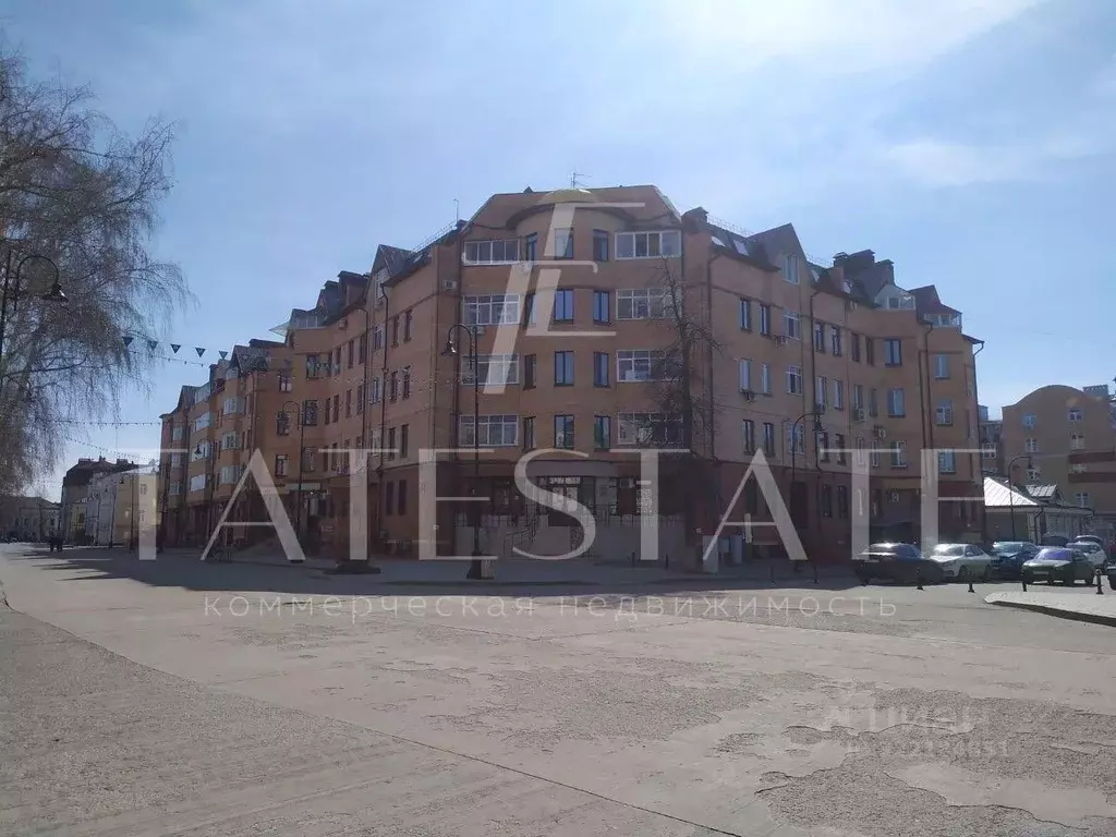 Помещение свободного назначения в Татарстан, Казань ул. Каюма Насыри, ... - Фото 1