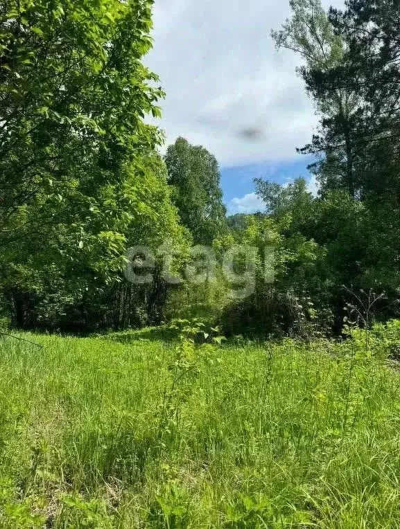 Участок в Алтай, Майминский район, Соузгинское с/пос, пос. Черемшанка  ... - Фото 1