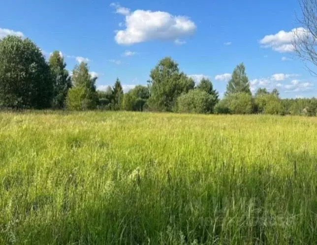 Участок в Ярославская область, Переславль-Залесский муниципальный ... - Фото 1