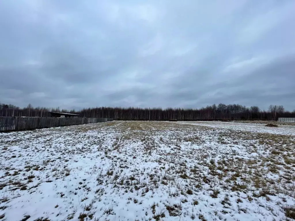 Участок в Нижегородская область, Городецкий муниципальный округ, д. ... - Фото 1