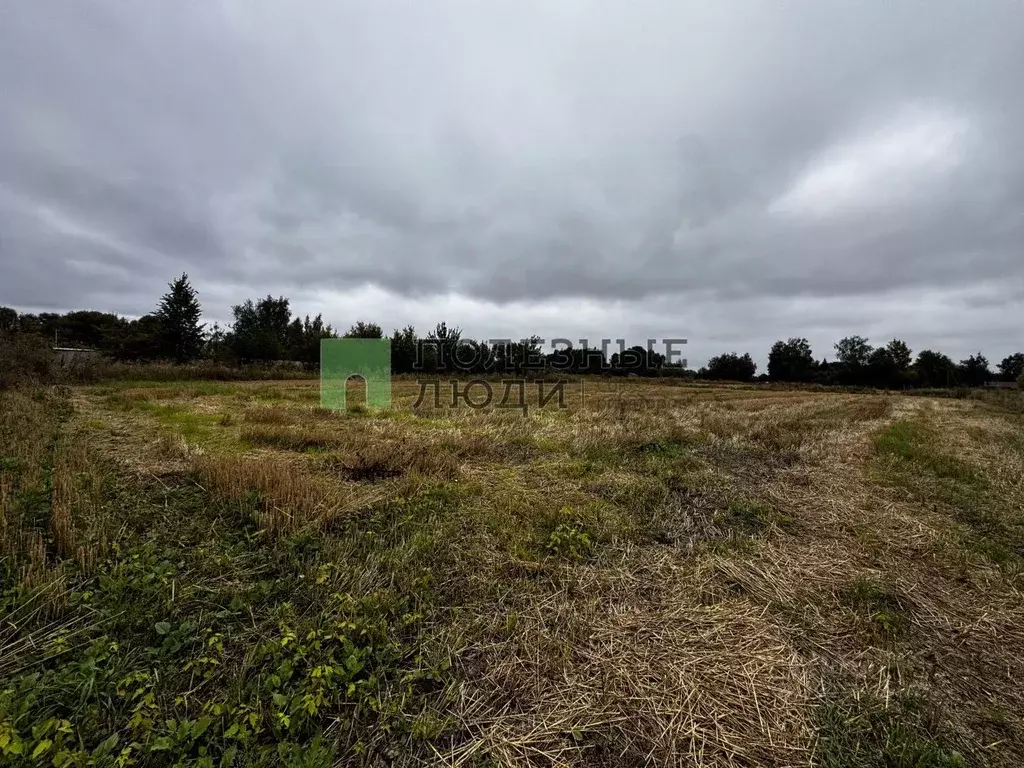 Участок в Орловская область, Орловский район, с. Лаврово Спортивная ... - Фото 2
