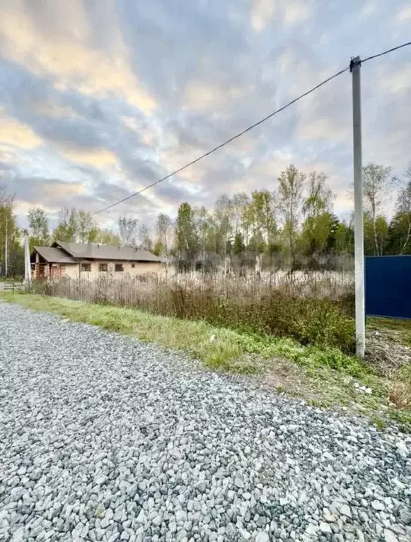 Участок в Тюменская область, Тюменский муниципальный округ, д. ... - Фото 2