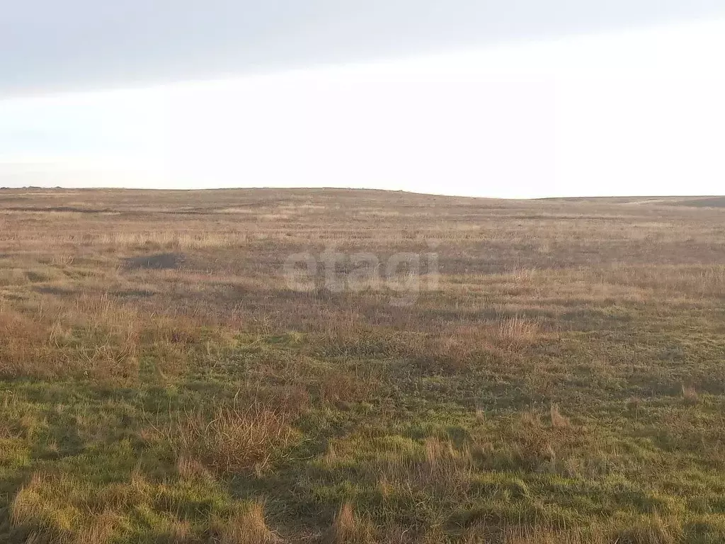 Участок в Крым, Ленино пгт ул. Трудовая (10.31 сот.) - Фото 1