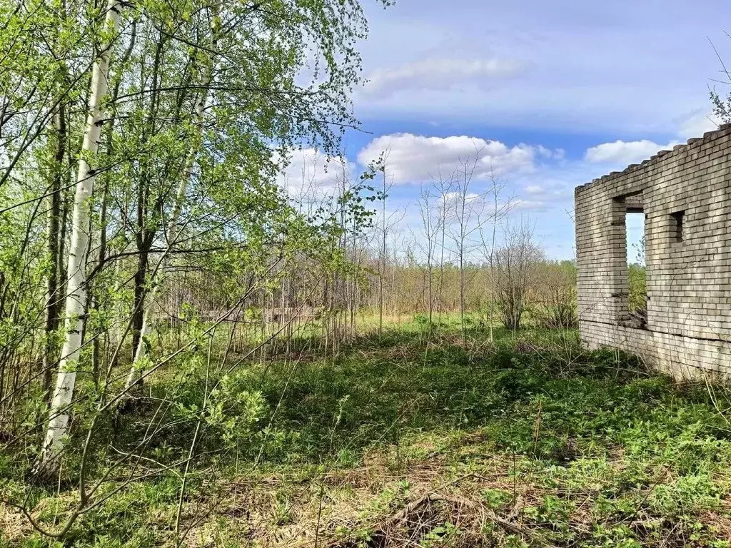 Участок в Владимирская область, Камешковский район, Второвское ... - Фото 1