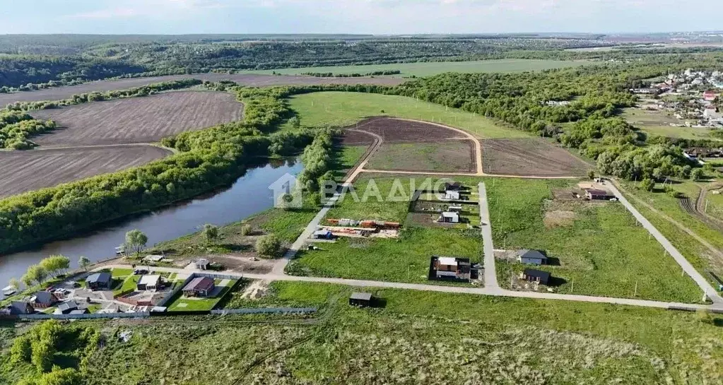 Участок в Воронежская область, Хохольский район, Новогремяченское ... - Фото 1