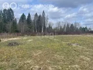 Участок в Заокский район, сельское поселение Страховское, сельский ... - Фото 1
