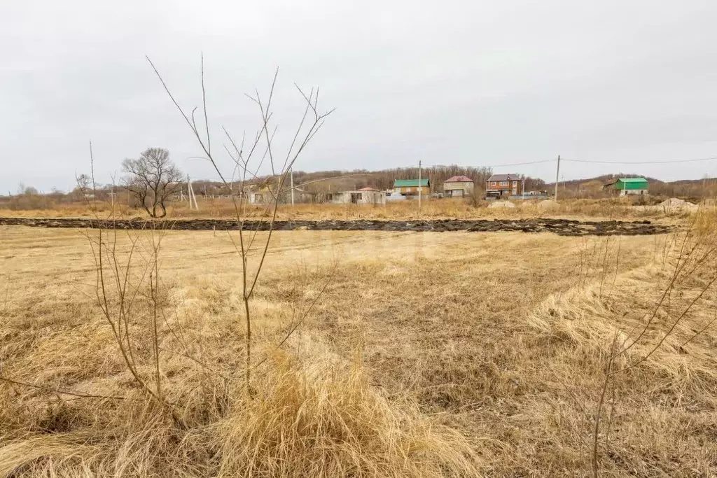 Участок в Амурская область, Благовещенск городской округ, с. Садовое  ... - Фото 1