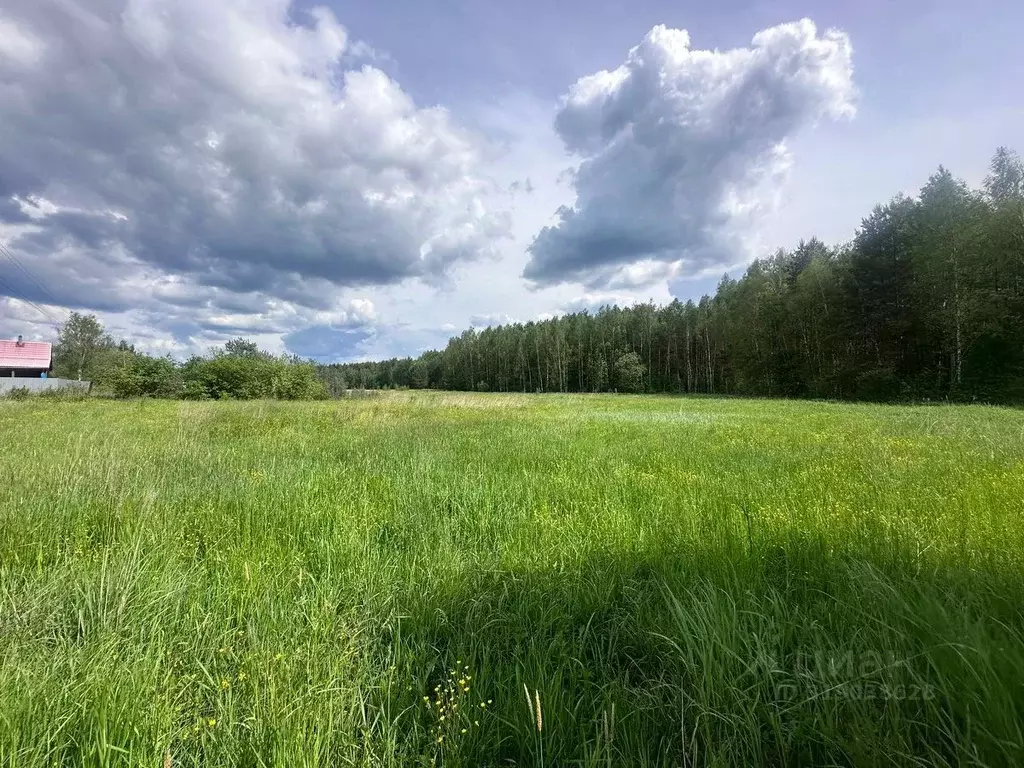 Участок в Московская область, Богородский городской округ, д. Тимково  ... - Фото 0