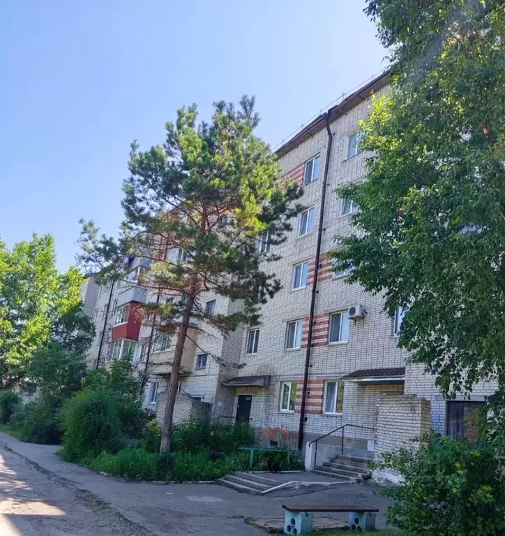 3-к кв. Приморский край, Спасск-Дальний ул. Мира, 4 (54.8 м) - Фото 0