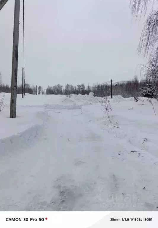 Участок в Нижегородская область, с. Безводное  (14.0 сот.) - Фото 2