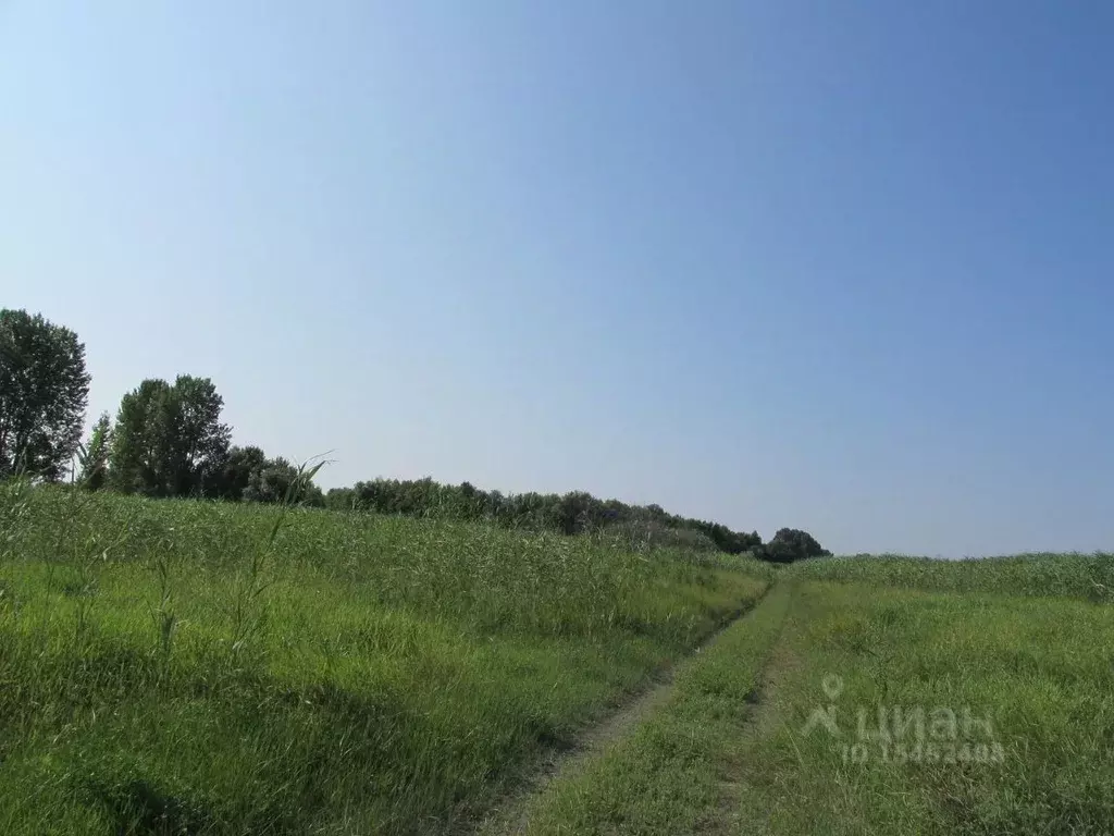 Участок в Астраханская область, Камызякский район, с. Тузуклей  ... - Фото 0