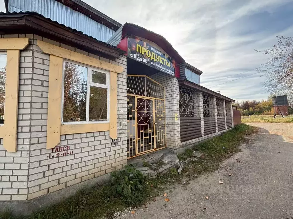 Торговая площадь в Владимирская область, Селивановский муниципальный ... - Фото 2