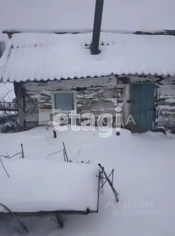 Дом в Алтайский край, Первомайский район, с. Новочесноковка (Демино) ... - Фото 1