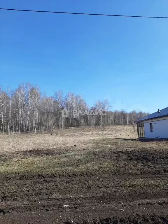 Участок 11,3 сот. (ИЖС) - Фото 0