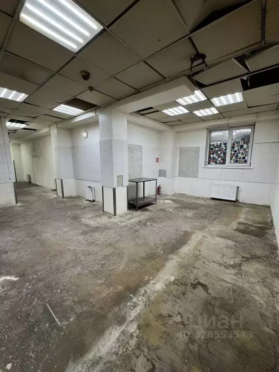 Помещение свободного назначения в Новосибирская область, Новосибирский ... - Фото 1