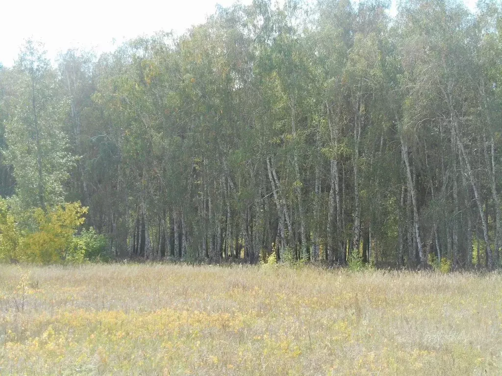 Участок в Омская область, Омский район, с. Усть-Заостровка ул. 1-я ... - Фото 0