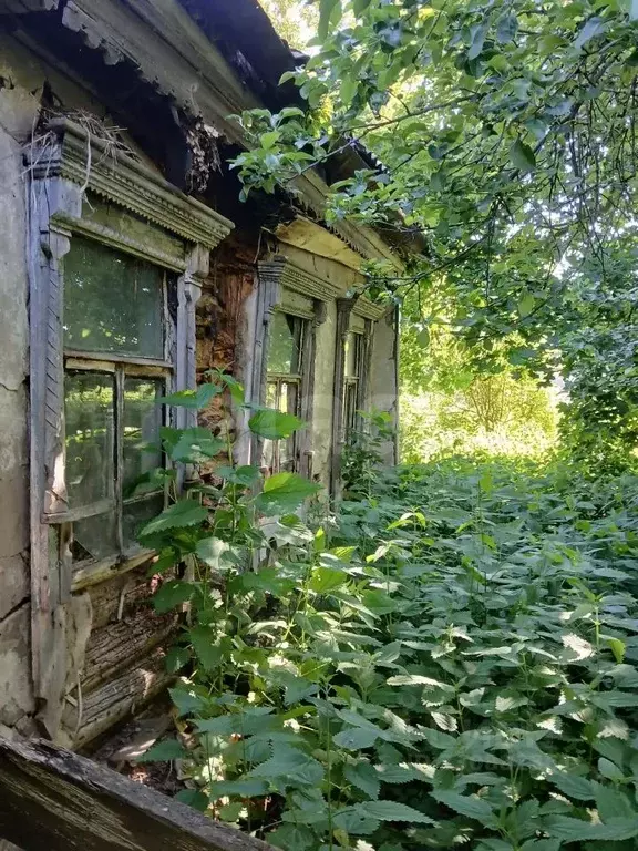Дом в Московская область, Зарайск муниципальный округ, д. Машоново 32 ... - Фото 1