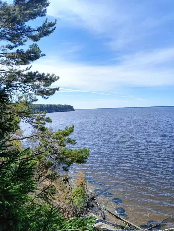 Участок в Нижегородская область, Сокольский муниципальный округ, д. ... - Фото 1