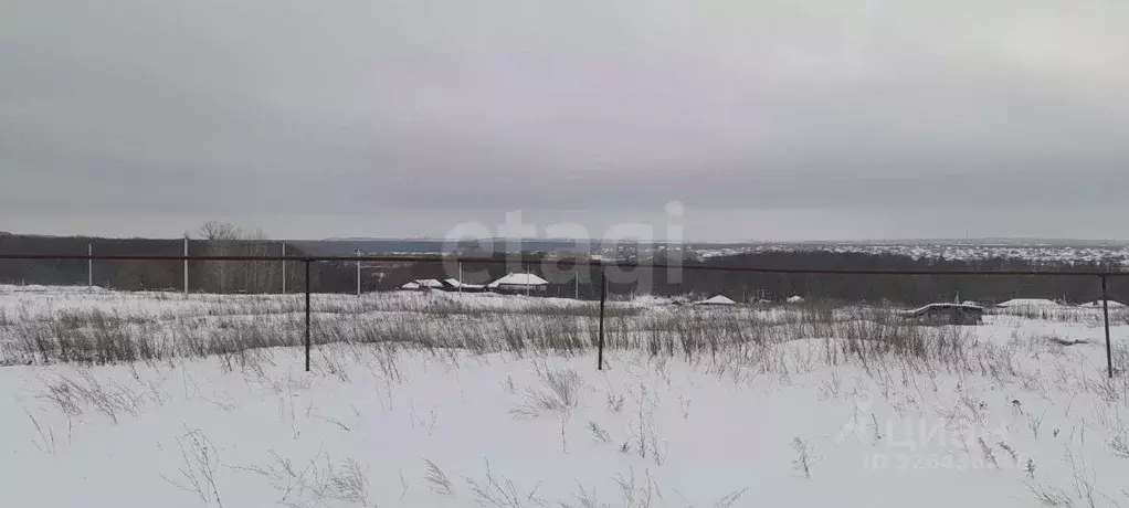 Участок в Саратовская область, Балашовский район, с. Репное Пионерская ... - Фото 2