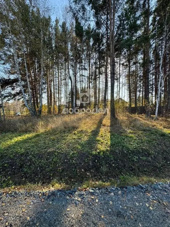 Участок в Свердловская область, Сысертский муниципальный округ, пос. ... - Фото 2