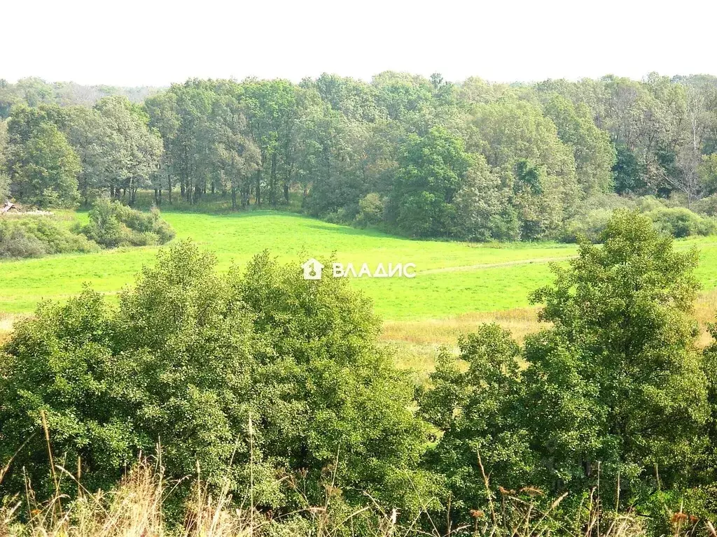 Участок в Владимирская область, Судогодский район, с. Ликино Дачная ... - Фото 1