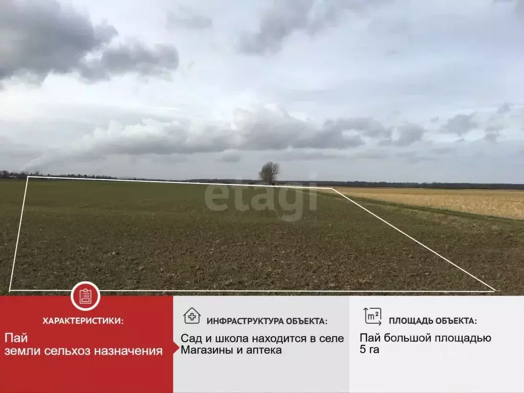 Участок в Белгородская область, Новооскольский муниципальный округ, с. ... - Фото 2