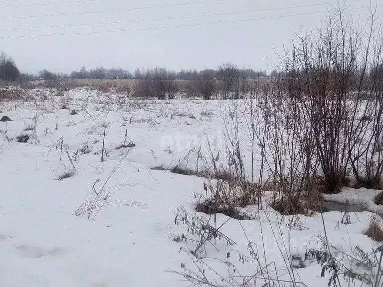 Участок в Ярославская область, Ярославль ул. Колышкина, 5 (6.5 сот.) - Фото 0