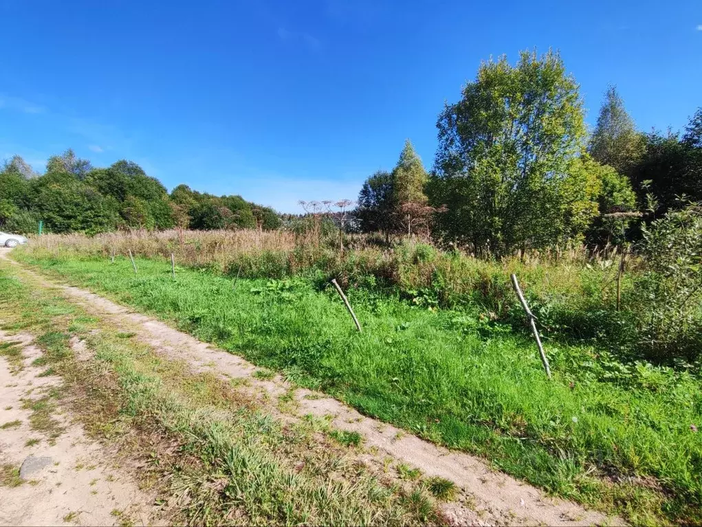 Участок в Московская область, Волоколамский муниципальный округ, д. ... - Фото 1