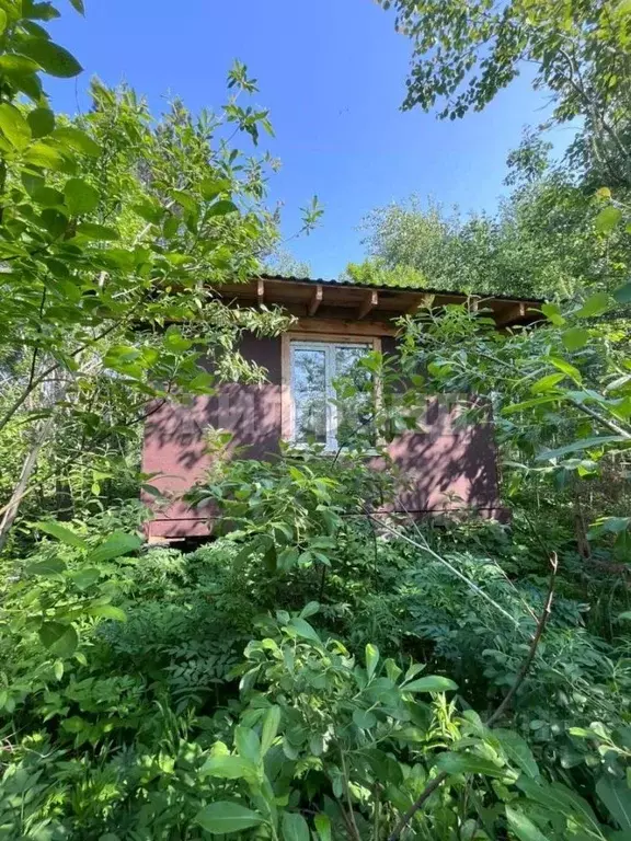 Участок в Новосибирская область, Новосибирский район, Барышевский ... - Фото 2