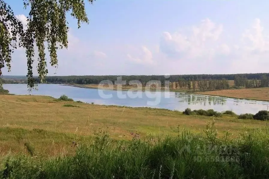 Участок в Тульская область, Тула муниципальное образование, с. ... - Фото 1