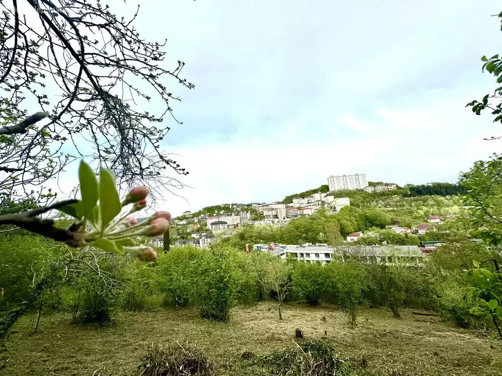 Участок в Краснодарский край, Сочи (5.5 м) - Фото 1