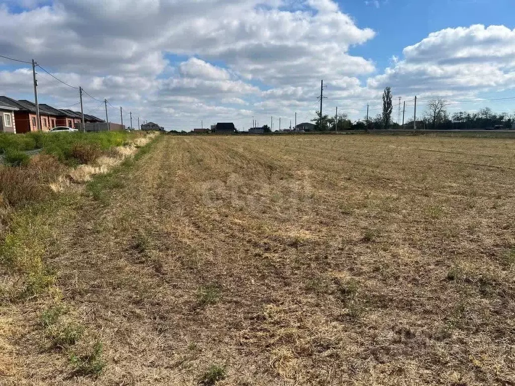 Участок в Ростовская область, Мясниковский район, с. Большие Салы ул. ... - Фото 1