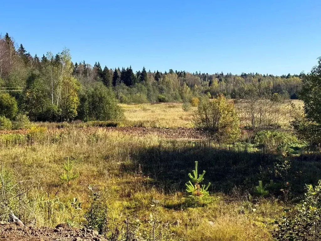 Участок в Московская область, Дмитровский муниципальный округ, Ерыково ... - Фото 1