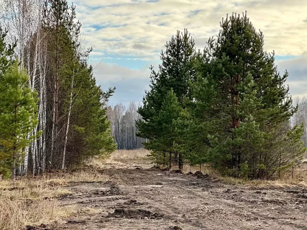 Участок в Тюменская область, Нижнетавдинский район, с. Тюнево  (6.0 ... - Фото 0