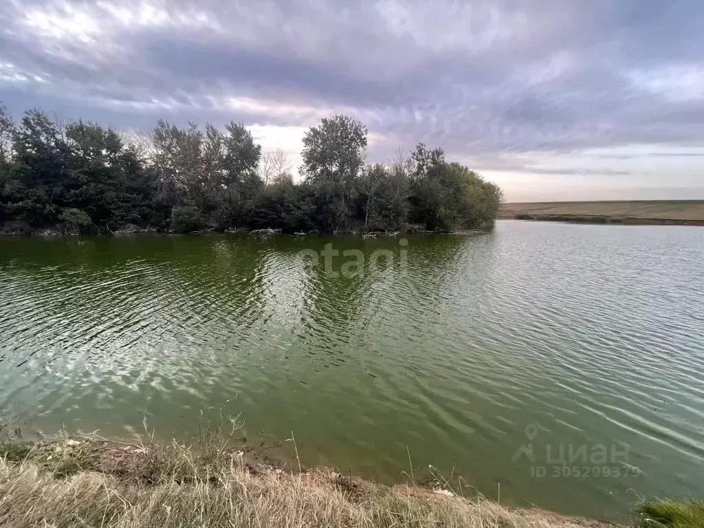 Дом в Белгородская область, Алексеевский муниципальный округ, с. ... - Фото 1