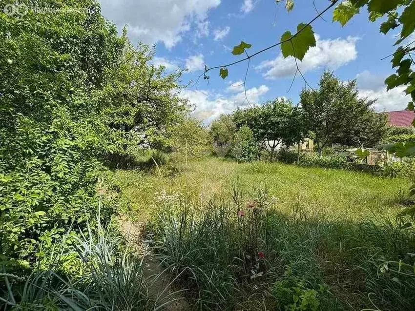 Дом в Старый Оскол, СНТ 60 лет Октября (25.5 м) - Фото 1