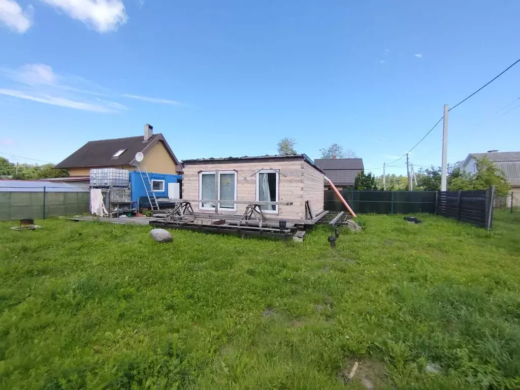 Участок в Калининградская область, Светлогорск Радуга СНТ, 6-я линия ... - Фото 1