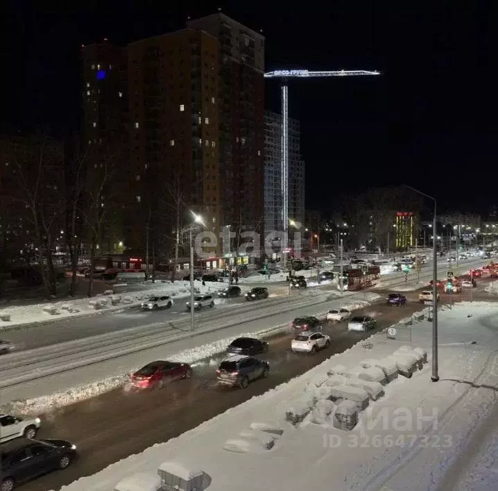 3-к кв. Пермский край, Пермь ул. Карпинского, 17 (80.1 м) - Фото 2