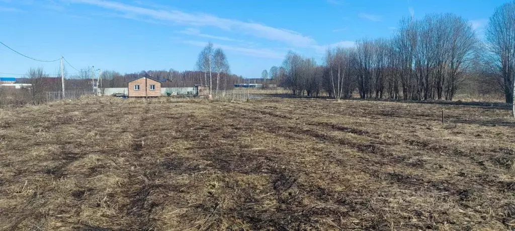 Участок в Владимирская область, Александровский муниципальный округ, ... - Фото 1