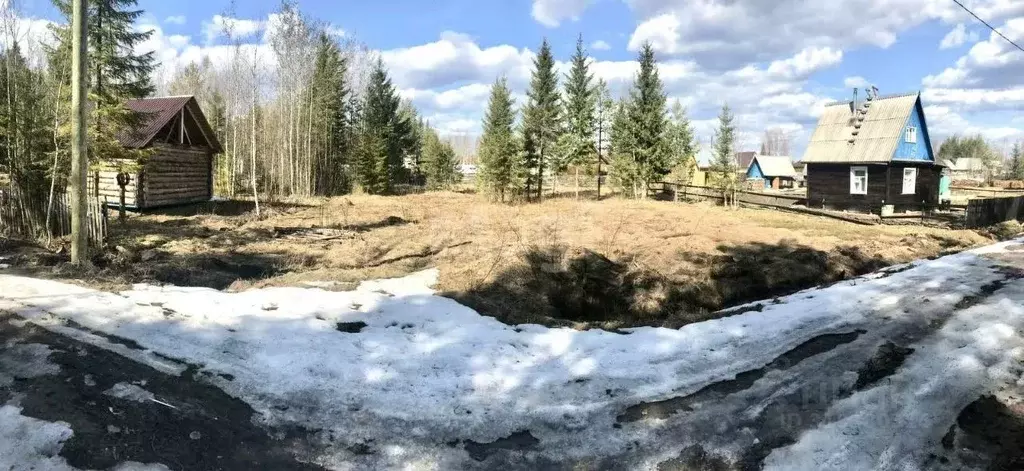 Участок в Коми, Сыктывдинский район, с. Выльгорт, Ирга СДТ  (10.0 ... - Фото 1
