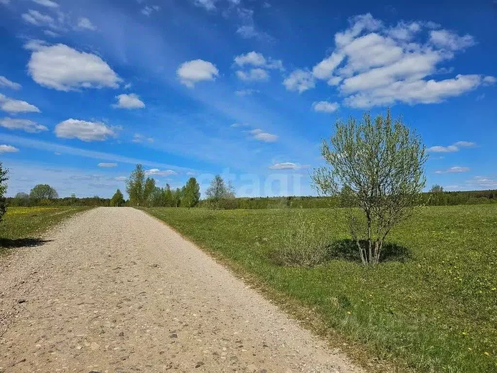 Участок в Владимирская область, Александровский муниципальный округ, ... - Фото 1