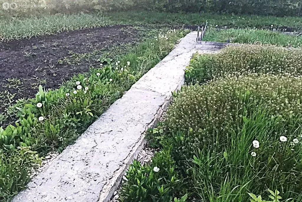 Участок в село Октябрьское, улица 9 Января, 40 (22 м) - Фото 0